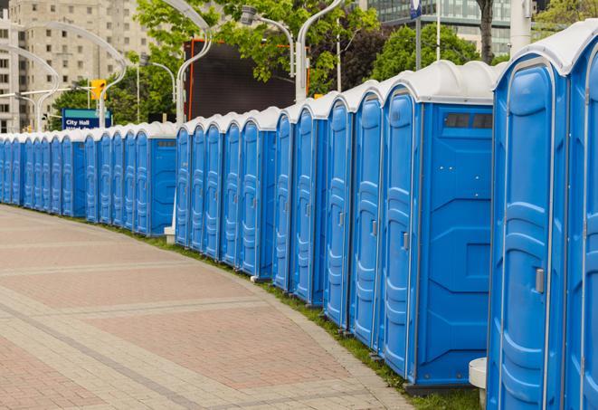 hygienic portable restrooms lined up at a music festival, providing comfort and convenience for attendees in Madeira